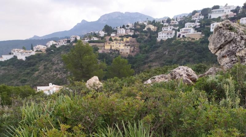Alicante - Denia - 14875m2