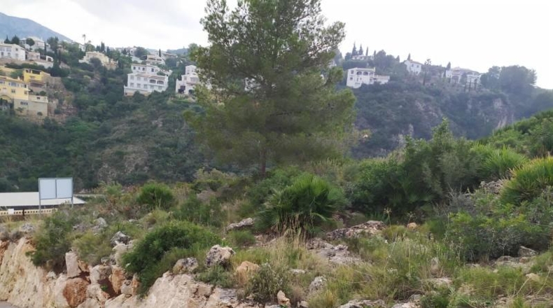 Alicante - Denia - 14875m2