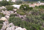 Urban land for sale on España, Dénia, ref: TR179388 photo