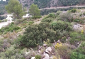 Urban land for sale on España, Dénia, ref: TR179388 photo