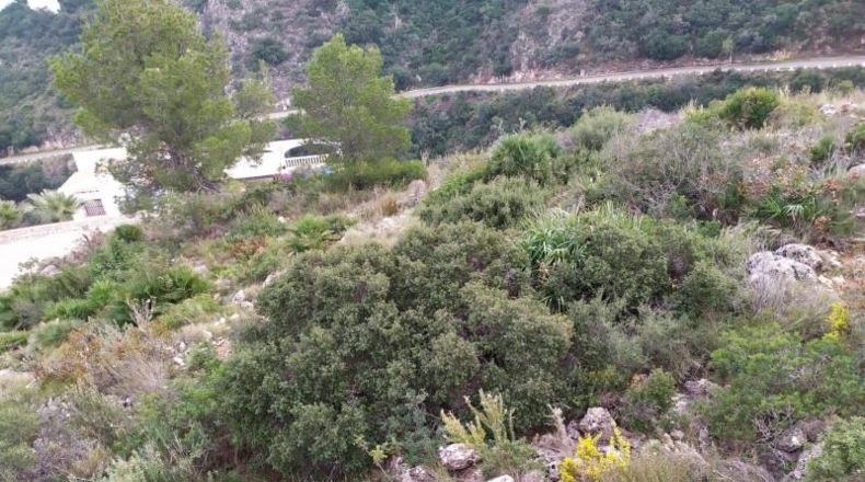 Alicante - Denia - 14875m2