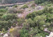 Urban land for sale on España, Dénia, ref: TR179388 photo