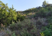 Urban land for sale on España, Dénia, ref: TR179388 photo