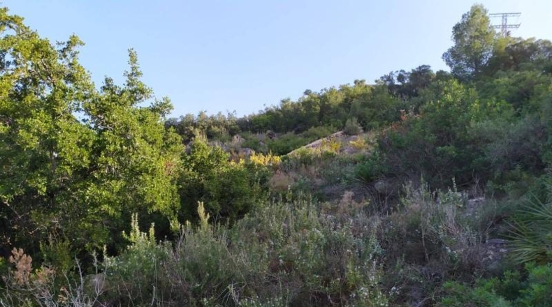 Alicante - Denia - 14875m2