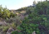 Urban land for sale on España, Dénia, ref: TR179388 photo