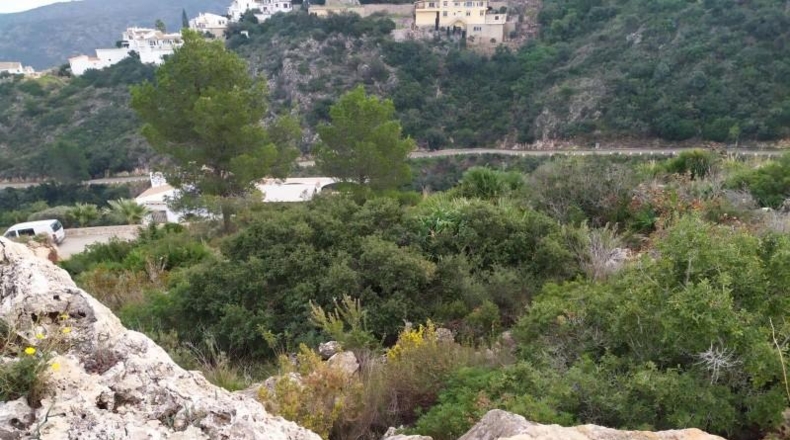 Alicante - Denia - 14875m2