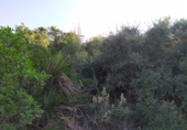 Urban land for sale on España, Dénia, ref: TR179388 photo