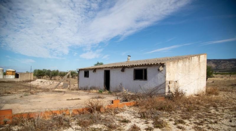 Murcia - Jumilla - 37704m2