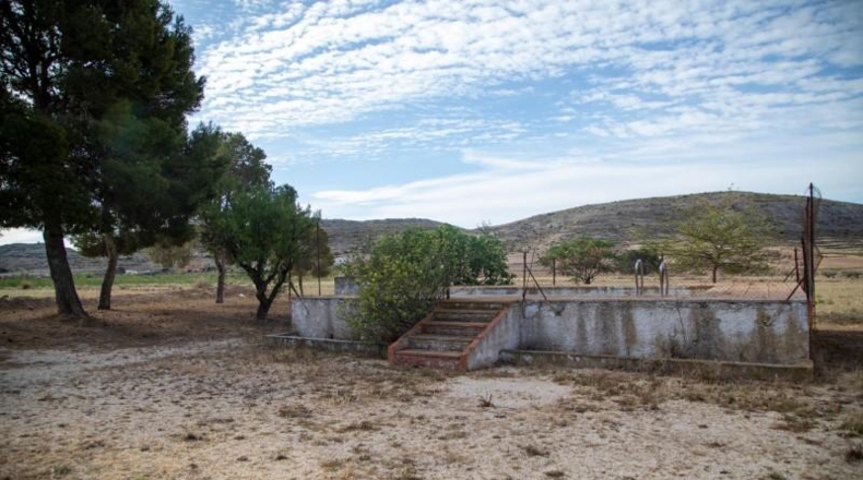 Murcia - Jumilla - 37704m2