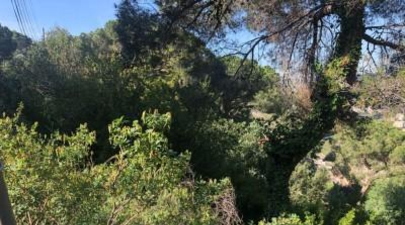 Barcelona - Cabrils - 625m2