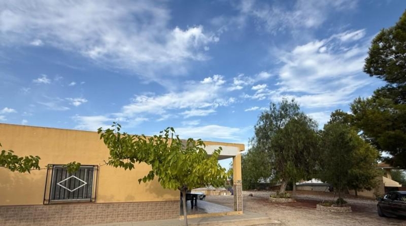 Alicante - Albatera - 2901m2