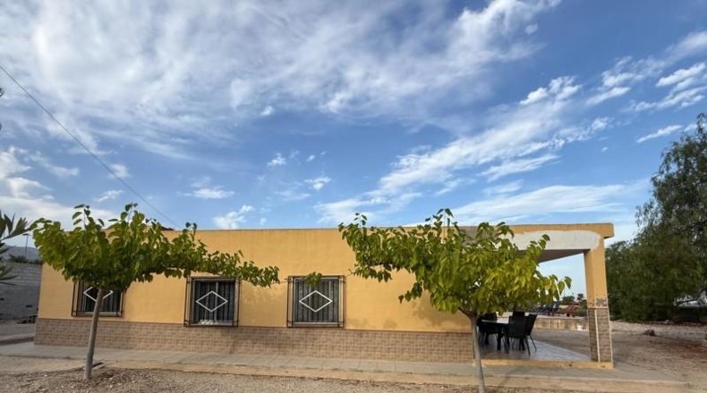 Alicante - Albatera - 2901m2