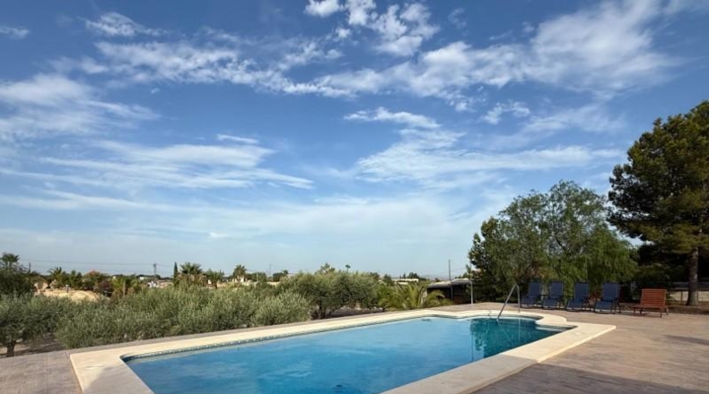 Alicante - Albatera - 2901m2