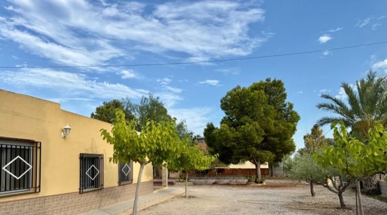 Alicante - Albatera - 2901m2