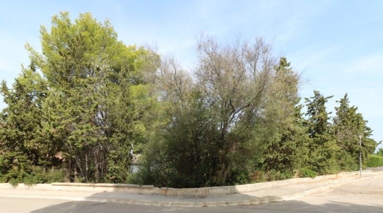 Balearic Islands - Alcudia - 420m2