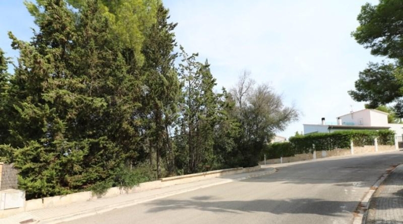 Balearic Islands - Alcudia - 420m2