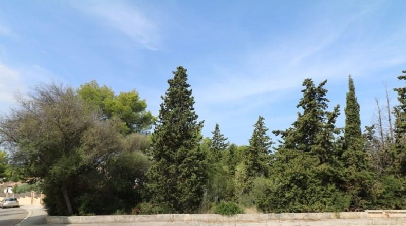 Balearic Islands - Alcudia - 420m2