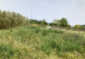 Sòl urbà en venda a la España, Tordera, ref.: TR117662 foto