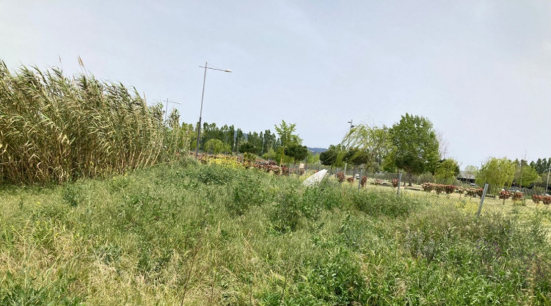 Barcelona - Tordera - 535m2