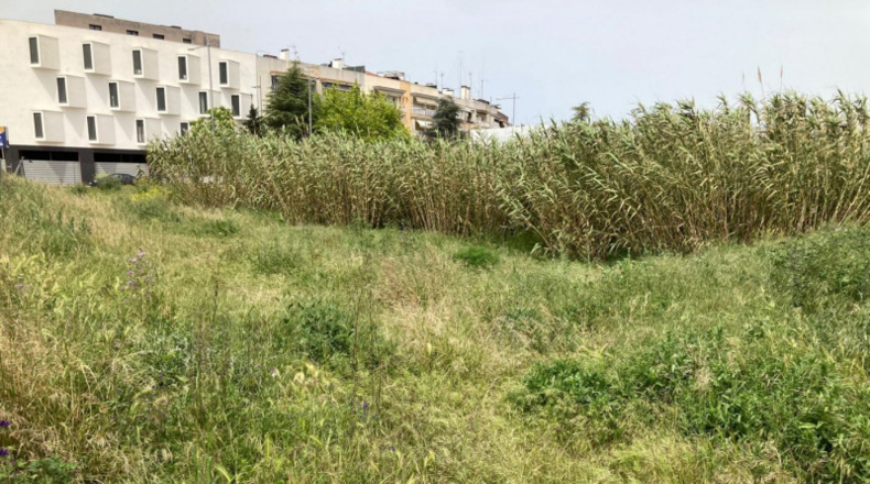 Barcelona - Tordera - 535m2