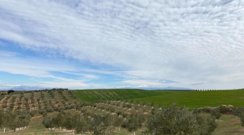 Granada - Salar - 59000m2