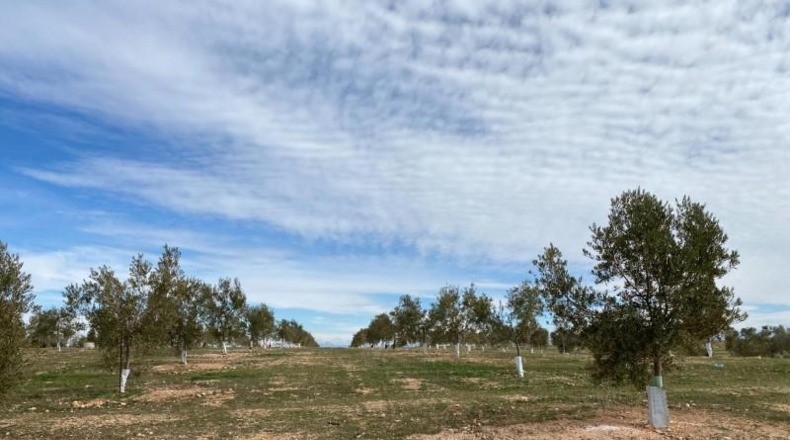 Granada - Salar - 59000m2