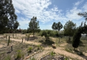 Casa de campo con terreno en venta en la España, Murcia, ref: TR242925 foto