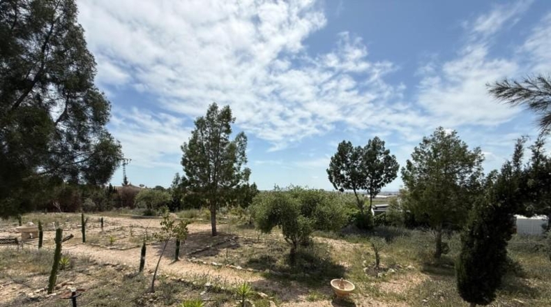 Murcia - Murcia - 3900m2