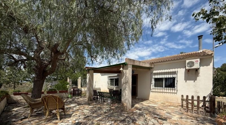 Murcia - Murcia - 3900m2