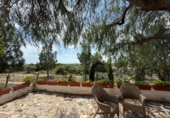 Casa de campo con terreno en venta en la España, Murcia, ref: TR242925 foto