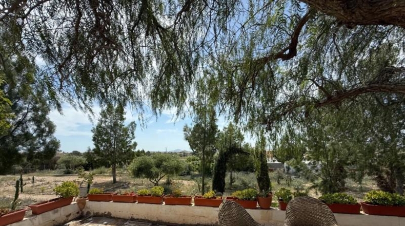 Murcia - Murcia - 3900m2
