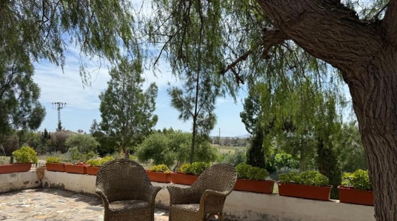 Murcia - Murcia - 3900m2