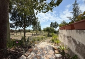 Casa de campo con terreno en venta en la España, Murcia, ref: TR242925 foto