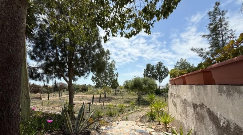 Murcia - Murcia - 3900m2