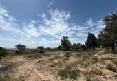 Casa de campo con terreno en venta en la España, Murcia, ref: TR242925 foto