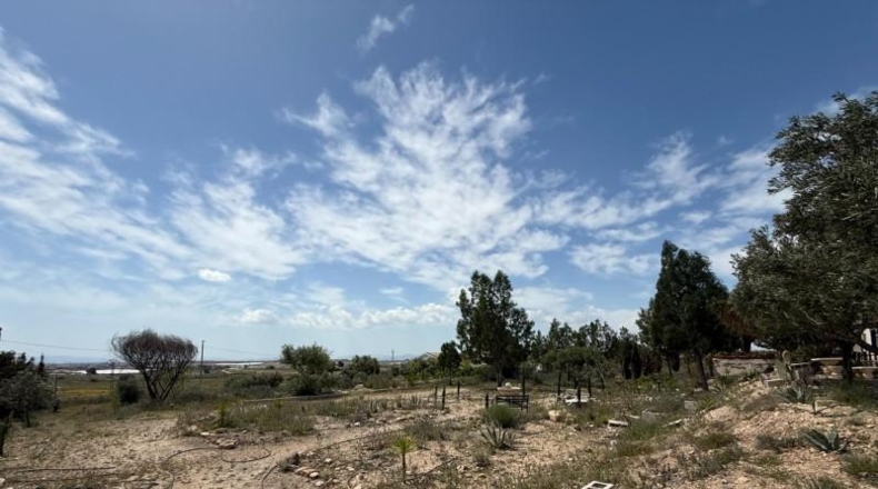 Murcia - Murcia - 3900m2