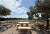 Casa de campo con terreno en venta en la España, Murcia, ref: TR242925 foto