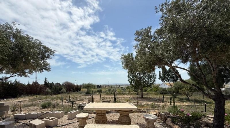 Murcia - Murcia - 3900m2