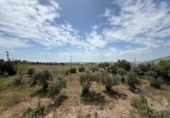 Casa de campo con terreno en venta en la España, Murcia, ref: TR242925 foto
