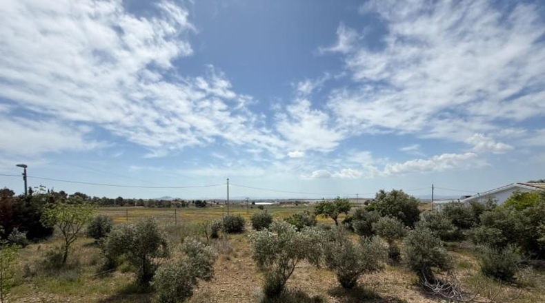Murcia - Murcia - 3900m2