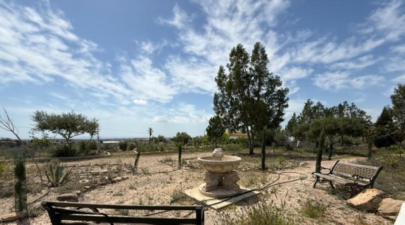 Murcia - Murcia - 3900m2