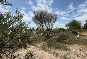Murcia 3400&nbsp;m²