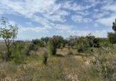 Casa de campo con terreno en venta en la España, Murcia, ref: TR242925 foto