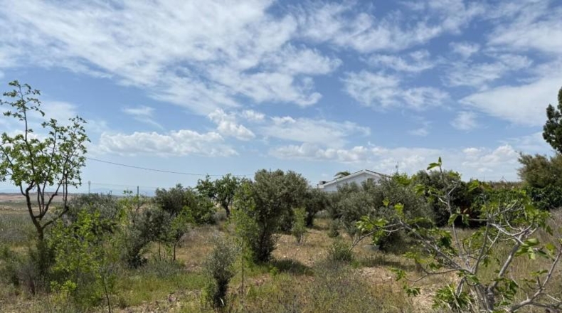 Murcia - Murcia - 3900m2