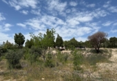 Casa de campo con terreno en venta en la España, Murcia, ref: TR242925 foto