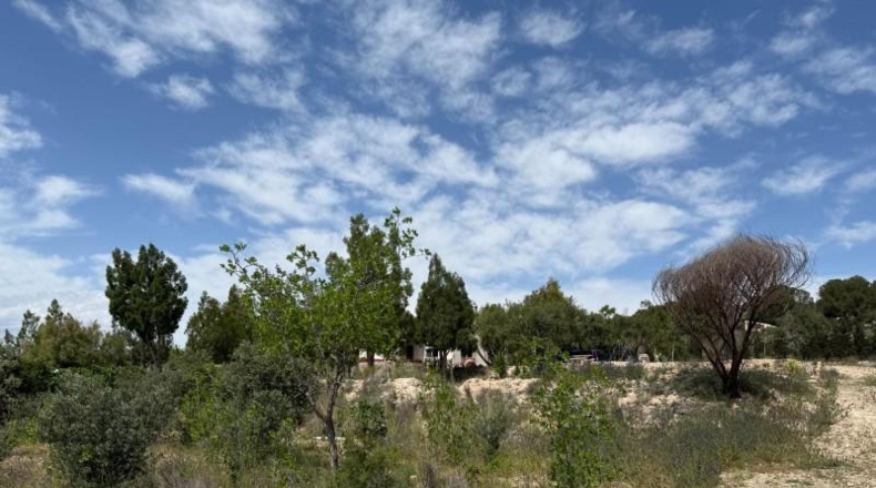 Murcia - Murcia - 3900m2