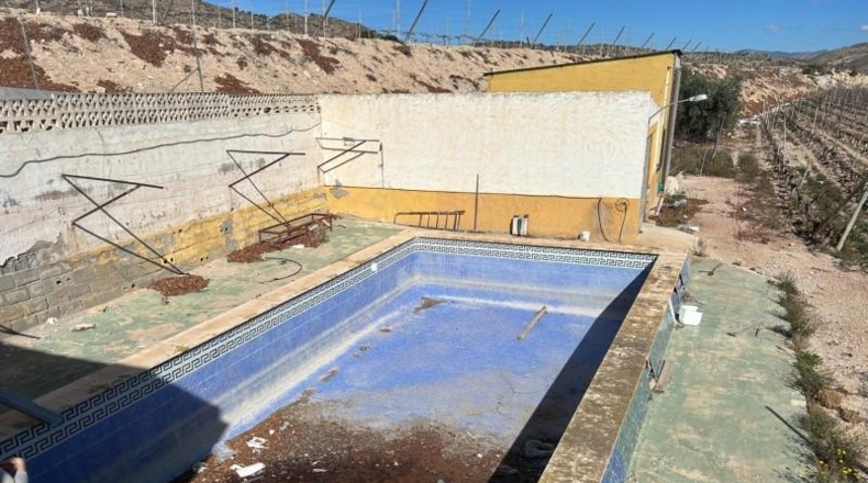 Alicante - Dolores - 16000m2