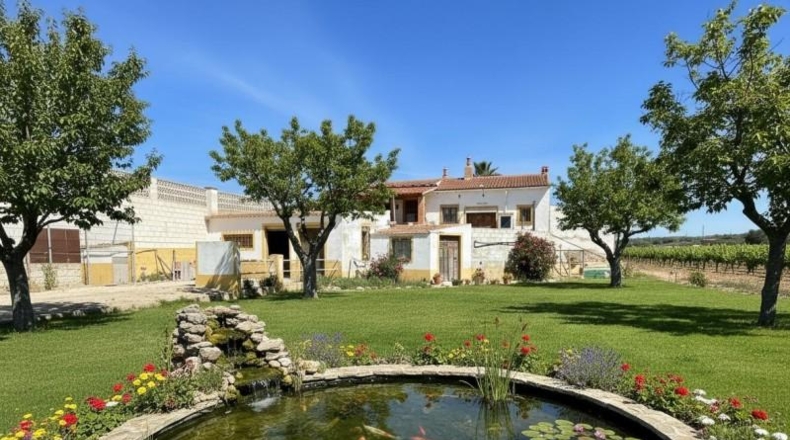 Alicante - Dolores - 16000m2