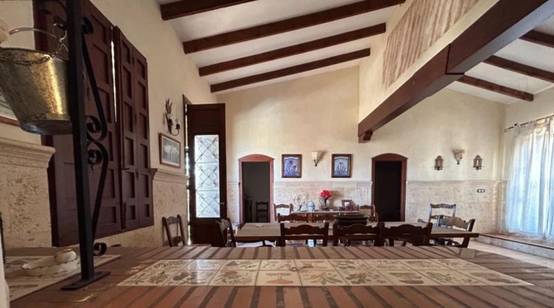 Alicante - Dolores - 16000m2