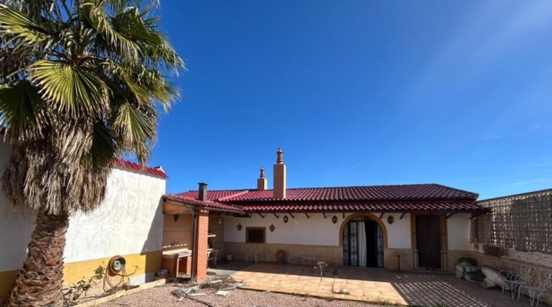 Alicante - Dolores - 16000m2
